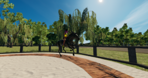 NADL- Country Village - Longierzirkel