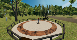 NADL- Country Village - Longierzirkel