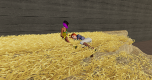 NADL- Country Village - Strohboden